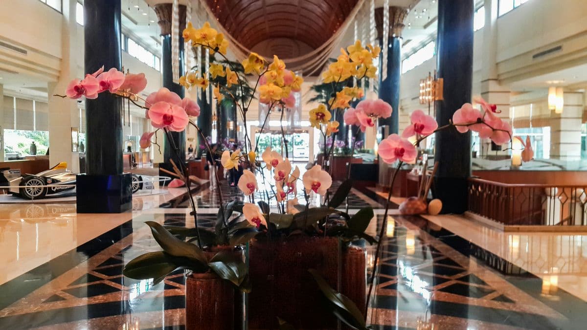 Student showcase interior design project